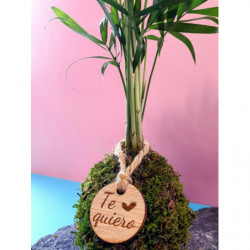 kokedama-tamano-s