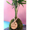 kokedama-tamano-s