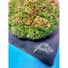 kokedama-tamano-s
