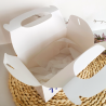 Caja picnic evento