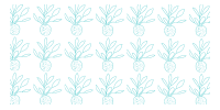 Kokedamas
